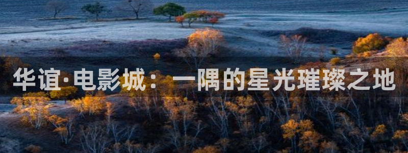 久久精品www人人爽人人片