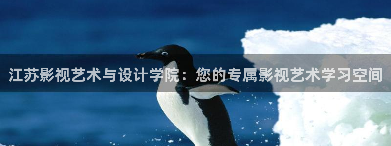 人人在线视频一区二区：江苏影视艺术与设计学院：您的专属影视艺术学习空间