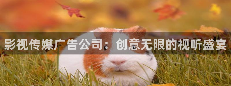 久久人人超碰97