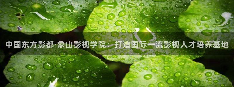 人人碰免费在线视频