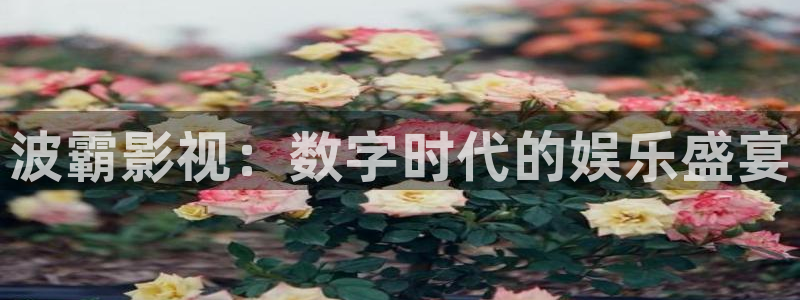 人人交视频