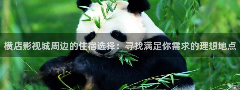 久久人人爽人人爽人人片av东：横店影视城周边的住宿选择：寻找满足你需求的理想地点